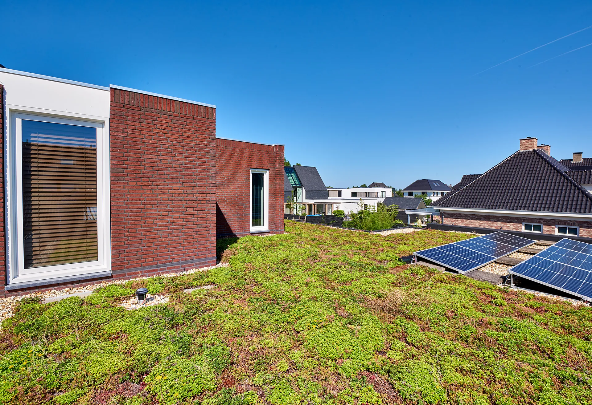 Sedumdak met zonnepanelen.