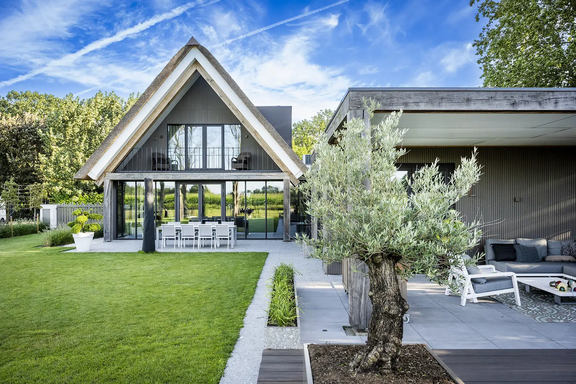 Achtergevel van moderne villa met rieten kap en olijfboom op de voorgrond.